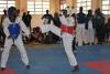Tae kwo do player in Action